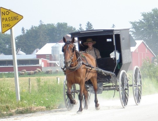 Amish Tour 2015