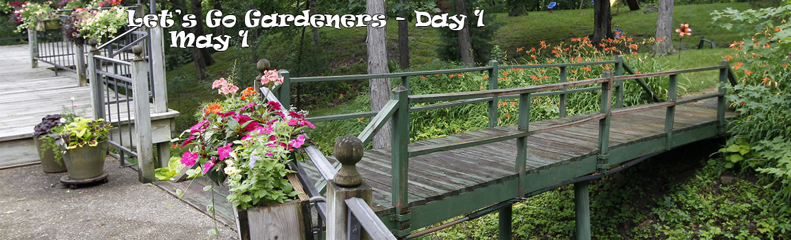 Let's Go Gardeners! - Day #1