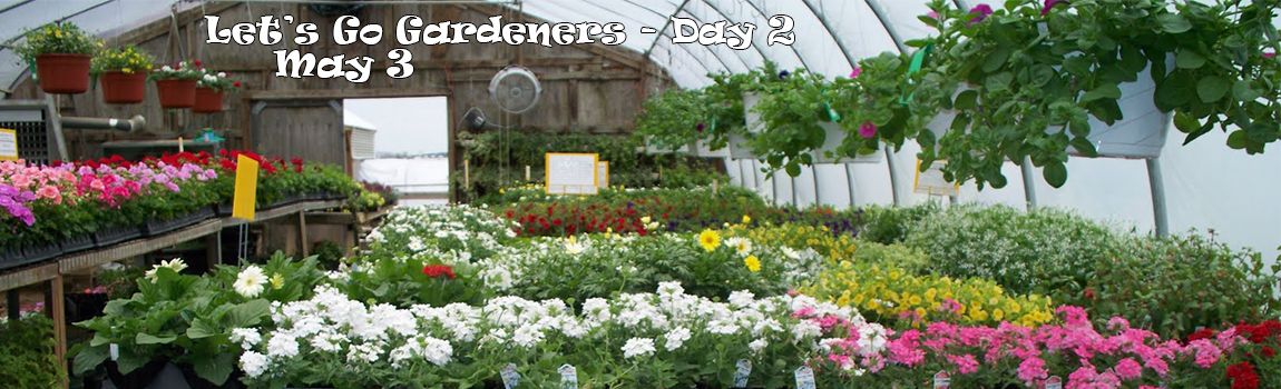 Let’s Go Gardeners! – Day #2